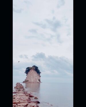 Mari Yamazaki Instagram - 2023年9月に訪れた石川県珠洲の見附島。島の上部に茂っていた樹木はカラスたちの棲家になっていた。