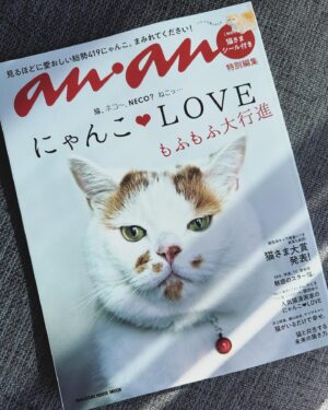 Mari Yamazaki Instagram - 只今発売中のananスペシャルエディション『にゃんこLOVEもふもふ大行進』にベレン様と私のことが掲載されております