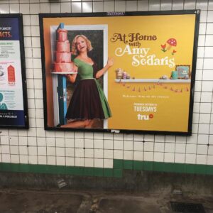 Maria Christina Thayer Instagram - I took this picture last night, coming home on the subway, after having two glasses of wine. It’s not the best picture. But you know what is the best? @amysedaris on @athomewithamysedaris Premiere tonight on @trutv
