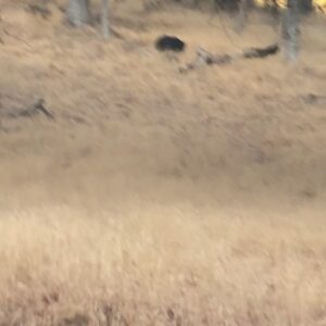 Maria Christina Thayer Instagram - I was bearly scared SORRY
