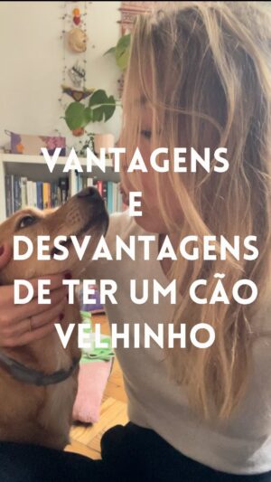 Maria Dias Instagram - Em média são abandonados 115 animais de companhia por dia em Portugal e os números não param de aumentar.
Os mais velhinhos são os que têm menos hipóteses de serem adoptados, justamente porque são velhinhos. Mas são inúmeras as vantagens em adoptar um velhinho. Eu tenho um em casa e digo-vos quais são. 
Desvantagens, só uma mesmo. Veja o vídeo e diga-me se concorda.
Se quer um companheiro para a vida: nunca compre. Adopte ♥️