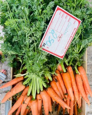 Maria Dias Instagram - Mercado de produtores de Loulé.  Acontece aos sábados de manhã à volta do mercado da cidade e é uma delícia. Fui na quimera de encontrar figos mas já só os encontrei secos. Pingo de mel secos da região são uma iguaria. Feliz por encontrar brócolos com folhas e floretes que não estão em estereoides como os que encontramos nos supermercados. Vários piri-piris para quem gosta de abusar do 🔥 . Marmelos, feijão verde, feijão fresco, os últimos tomates coração-de-boi ainda carregados de sabor e ainda encontrei mini pepinos para conservar em salmoura (depois passo-vos a receita). Em todo o lado perguntam se não quer coentros, fica um aroma a coentros por todo o lado, a erva que lembra sempre o Algarve. Leve sacos reutilizáveis e um grande para as compras todas- e compre a mais para poder fazer conservas para o ano e lembrar a abundância do Verão nos dias mais frios✨