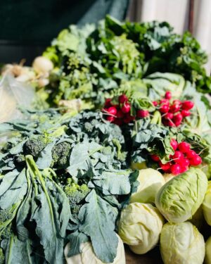 Maria Dias Instagram - Mercado de produtores de Loulé.  Acontece aos sábados de manhã à volta do mercado da cidade e é uma delícia. Fui na quimera de encontrar figos mas já só os encontrei secos. Pingo de mel secos da região são uma iguaria. Feliz por encontrar brócolos com folhas e floretes que não estão em estereoides como os que encontramos nos supermercados. Vários piri-piris para quem gosta de abusar do 🔥 . Marmelos, feijão verde, feijão fresco, os últimos tomates coração-de-boi ainda carregados de sabor e ainda encontrei mini pepinos para conservar em salmoura (depois passo-vos a receita). Em todo o lado perguntam se não quer coentros, fica um aroma a coentros por todo o lado, a erva que lembra sempre o Algarve. Leve sacos reutilizáveis e um grande para as compras todas- e compre a mais para poder fazer conservas para o ano e lembrar a abundância do Verão nos dias mais frios✨