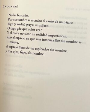 María Evoli Instagram - 4 de marzo 2024

Ya son recuerdos
La fumarola del Popo
El agua, el agua
Mis rodillas raspadas 
Los moretones amarillos
El 29
que se fue febrero
Las tres zanahorias que me regaló la de las flores
La flor de pilón
Me río
El mes del pulque
¡El pulque!
Néctar de dioses 
¿Por qué me encuentro estas cosas?
Miro al suelo, y una cornalina
Marzo
¡Qué calor!