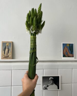 María Evoli Instagram - Martes 30 de abril 2024
Un mes retrógrado
Tengo muchas formas
A veces no entiendo
Las flores me conectan 
Hueles los nardos?