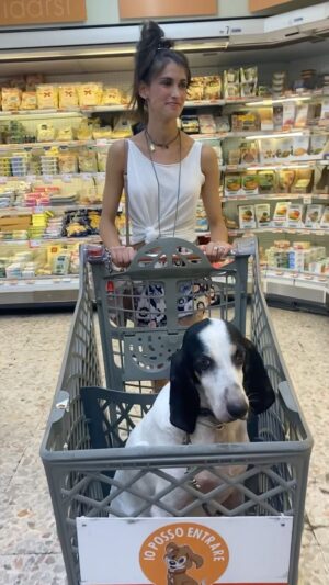 Maria Valentina Principi Instagram - Oggi mi hanno portato a fare la spesa…
.
.
#cane #dog #dogsofinstagram #dogs #love #puppy #instadog #cani #pet #dogstagram #italy #animals #cucciolo #amore #doglover #dogoftheday #ilovemydog #cute #viraldog #amore #viralreels