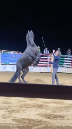 Maria Valentina Principi Instagram - Una serata diversa dalle altre 🐴🤠
Grazie @nika.perrone: hai avuto un’idea meravigliosa 😍
.
In questo video scoprirete che…
- Sì ci sono i campionati di bull riding anche in Italia.
- Sì abbiamo stunt incredibili che sui cavalli pare stiano per terra.
- Sì esistono ballerine sexy di country 
- Sì ci sono anche i tori meccanici da cui cadere con finta disinvoltura.