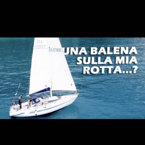 Marianna De Micheli Instagram - [LINK IN BIO] Navigazione fra Imperia ed Alassio: Faccio gli ultimi giri ad Imperia, senza dimenticarmi di fare una partita allo sport più in voga in questo momento in città, dopodiché mollo gli ormeggi e navigo verso Alassio... ma le notizie parlano di una balena ferita che sta navigando proprio lungo la mia rotta... la incontrerò?
nei miei 2 giri d'Italia e vari giri della Corsica, senza contare le regate d'altura, non ho mai avuto la fortuna/sfortuna di incontrarne una... sarà la volta buona?
Ad Alassio non potevo non visitare il famosissimo muretto... lo visitate con me?
... E già sono pronta a ripartire!
BUONA ONDA 🌊
.
.
#mariannademicheli #navigattrice #siamosullastessabarca  #barca #nautica #barcaavela #barcavela #velistiinfacebook #italia #italy #mare #ilmaredinverno # #sail #sailiglife #liguria #vivereinbarca #giroditalia #mollotutto #libertà