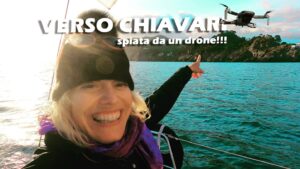 Marianna De Micheli Instagram - [LINK IN BIO]
Sono salpata da Savona verso Chiavari, le miglia sono tante, più di trenta, ma naturalmente il vento viene proprio da dove vado io!
(succede sempre così😅)
Lungo la navigazione mi sono ritrovata in mezzo al mare con sopra la testa un drone che mi spiava, veniva da Portofino. E' venuto 2 volte ed è rimasto ad osservarmi a lungo scendendo anche molto vicino a me... anzi, se sei "lo spione" palesati, mi piacerebbe vedere il tuo video!🤩
Comunque sono riuscita ad arrivare prima che facesse buio...
Chiavari è bellissima, vedetela con me
nel frattempo
BUONA ONDA 🌊
.
.

#mariannademicheli #navigattrice #siamosullastessabarca  #barca #nautica #barcaavela #barcavela #velistiinfacebook #italia #italy #mare #ilmaredinverno # #sail #sailiglife #liguria #vivereinbarca #giroditalia #mollotutto #libertà