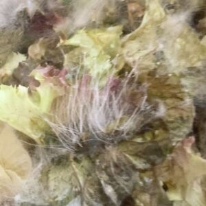 Marie Bloching Instagram - 