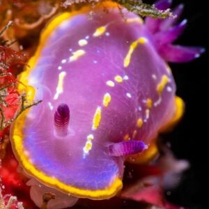 Marie Bloching Instagram - Omg das ist eine Schnecke