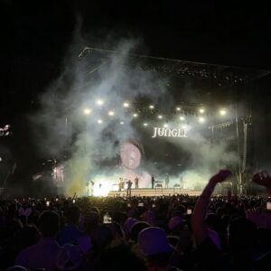 Marie-Joëlle Parent Instagram - It’s a wrap for Coachella weekend 1 🪩🌵🥲🎡🎤☀️