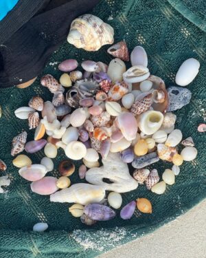 Marina Valdés Instagram - Supongo que en la 7 sabéis lo que estoy haciendo 🐚