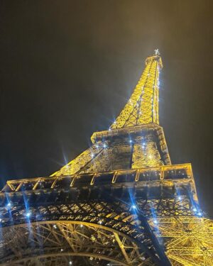 Marion Marimoutou Instagram - Joyeux Noël les copains 🎄 Un Noël pas comme les autres pour doudou et moi. Au sommet de la Tour Eiffel, une magnifique expérience 🤍.