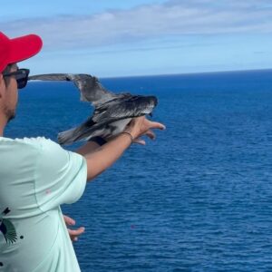 Marion Marimoutou Instagram - Mais quelle aventure ! C’est un pur plaisir de vous partager sans cesse des messages d’amours pour notre île.. 🇷🇪 Cette fois-ci est assez unique pour moi tout simplement grâce aux personnes uniques qui ont contribué à cette mission protection. Du partage, de l’entraide, des rires, de la découverte… Des moments tellement simples qui finalement sont vraiment les plus riches. Un grand merci à l’homme de la situation évidemment @pikpiktours . Merci également aux organismes comme @ultrapremiumdirect , @youcare_fr et toutes les équipes qui ont géré cette semaine à merveille.  La Réunion vous remercie du fond du cœur, vous serez toujours les bienvenus ❤️ #974island #collaboration
