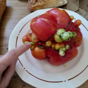 Marion Montaigne Instagram - Je vous laisse une demi-heure chrono pour me dire si je peux manger cette tomate de Tchernobyl sans risque. Merci. Peut-être adieu