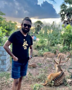 Maris Vijay Instagram - Beautiful Deer in Trincomalee, Sri Lanka. 🇱🇰 @srilanka #trincomalee #srilanka #srilankatravel #srilanka🇱🇰 @marisvijayofficial @trinity_waves_studio @mmuzikofficial