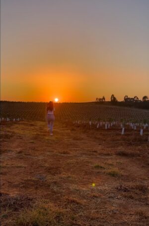 Marisa Pérez Instagram - “These are the moments, the moments we live for” 

#sunset #sun #love #followthesun #sun7 #goldenhour #myfavoritemomentoftheday