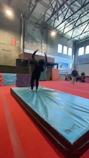 Marissa Labog Instagram - Success comes from consistently showing up, and going again. 😈  Especially while training for the falls 😅💪

#stuntperformer #stunts #stuntlife #stuntwomen #stuntwoman #fitnessmotivation #backflip #backflipfail #strongwomenrock