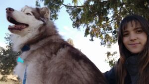 Marita Zafra Instagram - Aprovechando el festivo para pasear con mi amor siberiano @elhachisiberiano2017 tan bonito él, y lo poco que le gustan las fotoss🤣
Qué no nos frenen que tiramos montaña arriba!💙🌞