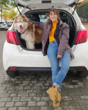 Marita Zafra Instagram - De rutilla micológica con la manada🌞
Mi peludo que es un disfrutón y sabe que ir al coche es ir de excursión, se lo ha pasado pipa, y su alegría es contagiosa 💛

Le hice una cuenta donde compartir algunas de nuestras aventuras, y anécdotas 🐺
@elhachisiberiano2017