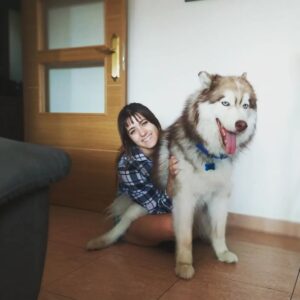Marita Zafra Instagram - Mi lobito no entiende tamaños, es verme sentada y sentarse encima😅
Veintipico kilos de amor perruno 🐺