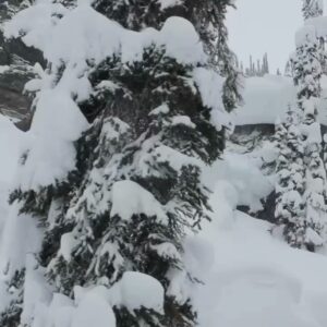 Mark McMorris Instagram - SUN CAME OUT by @burtonsnowboards 
Fortunately I was able to spend a few days with the crew filming before fracturing my leg. Some great memories from the trip nonetheless. Proud of what the team put into this piece! Enjoy the film through the link in my bio:)