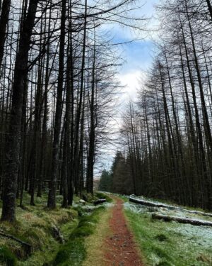 Mark Rowley Instagram - 2021 adventures... The unknown fairy path... I met them in the woods and they said the summer of 2021 will be epic. Fairies never lie. It should be breaking news by 10am.