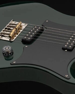 Mark Tremonti Instagram - Congrats to my brother @officialmyleskennedy and my dear friends at @prsguitars for releasing this killer signature model! I’ve gotten to play it and all I have to say is that I’ll definitely be needing one in my collection🔥🔥🔥🤘🏻🤘🏻