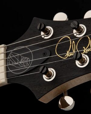 Mark Tremonti Instagram - Congrats to my brother @officialmyleskennedy and my dear friends at @prsguitars for releasing this killer signature model! I’ve gotten to play it and all I have to say is that I’ll definitely be needing one in my collection🔥🔥🔥🤘🏻🤘🏻