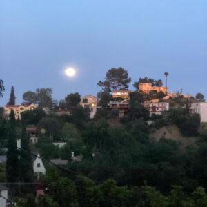 Marley Shelton Instagram - Anyone catch the epic moon last night?  Normally phone cameras don’t capture moons very well but this shot is pretty good.  Still doesn’t fully do it justice though.  #flowermoon