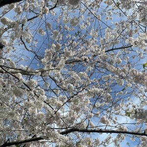 Marley Shelton Instagram - Happy #earthday !  What a stunning planet we live on.