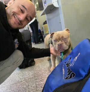 Marlon Moraes Instagram - Primeira semana com nosso Amigão Thor tenho que compartilhar para que saibam como é fácil viajar com seu amigo na cabine para qualquer lugar do Mundo 🌍 ! Você que precisa viajar com seu pet , a Embarpet e especializada na assessoria de várias modalidades de transporte de pet ! Empresa profissional , competente , nos auxiliou em todas as etapas para que eu pudesse trazer o Thor do Brasil para os Estados Unidos ! Agora a família esta toda reunida !!! Muito obrigado a @embar.pet e  @embar.travel valeu vocês são Top 😁 !!!