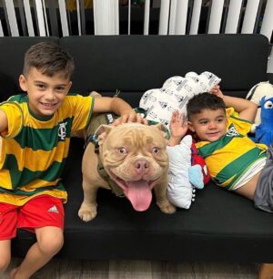Marlon Moraes Instagram - Primeira semana com nosso Amigão Thor tenho que compartilhar para que saibam como é fácil viajar com seu amigo na cabine para qualquer lugar do Mundo 🌍 ! Você que precisa viajar com seu pet , a Embarpet e especializada na assessoria de várias modalidades de transporte de pet ! Empresa profissional , competente , nos auxiliou em todas as etapas para que eu pudesse trazer o Thor do Brasil para os Estados Unidos ! Agora a família esta toda reunida !!! Muito obrigado a @embar.pet e  @embar.travel valeu vocês são Top 😁 !!!