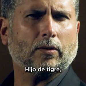 Marlon Moreno Instagram - Dios mío, es que son dos gotas de agua. 😍 Y es que @marlonmorenos y @brianmorenoz comparten el talento, el porte y la belleza. 🔥 ¿No nos crees? Con este video nos darás la razón. 🥰

#ElCapo #ladylavendedoraderosas