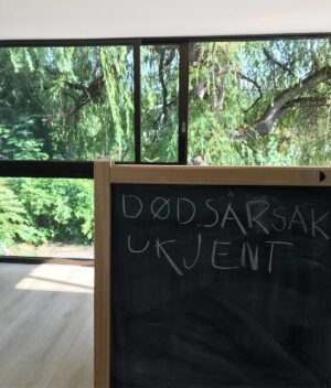 Marte Stokstad Instagram - Barnelek i utvikling. 34 grader ute...leke patolog inne da eller?