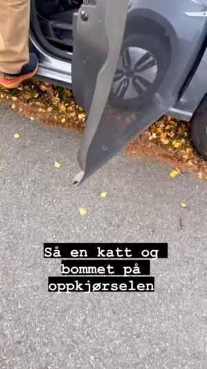 Marte Stokstad Instagram - 