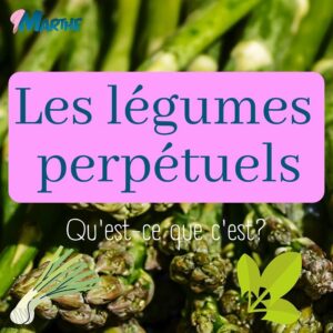 Marthe Laverdière Instagram - Avez-vous vu ma capsule sur les légumes perpétuels?🤔 Je vous en parle ici! Vous pouvez aussi aller sur le Youtube des Serres Li-Ma pour voir ma capsule sur le sujet!
Vive les légumes perpétuels!🌱🥰 En avez-vous chez vous? Dites-moi dans les commentaires!👇🏻
#cultivetonbonheur 💕

•

•

•

•

•

#marthelaverdiere #legumesperpetuels #légumesperpétuels #légumesvivaces #legumesvivaces #horticultrice #horticultureconsciente #jardinecologique #jardinageconscient #oignonegyptien #asperges #epinardsauvage #liveche #livèche #rhubarbe #rhubarbedujardin