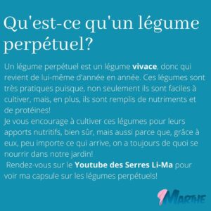 Marthe Laverdière Instagram - Avez-vous vu ma capsule sur les légumes perpétuels?🤔 Je vous en parle ici! Vous pouvez aussi aller sur le Youtube des Serres Li-Ma pour voir ma capsule sur le sujet!
Vive les légumes perpétuels!🌱🥰 En avez-vous chez vous? Dites-moi dans les commentaires!👇🏻
#cultivetonbonheur 💕

•

•

•

•

•

#marthelaverdiere #legumesperpetuels #légumesperpétuels #légumesvivaces #legumesvivaces #horticultrice #horticultureconsciente #jardinecologique #jardinageconscient #oignonegyptien #asperges #epinardsauvage #liveche #livèche #rhubarbe #rhubarbedujardin