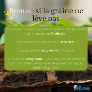 Marthe Laverdière Instagram - Avez-vous commencé vos semis?🌱☺️
J’ai reçu plusieurs questions sur le sujet, je vous ai donc fait un petit guide des problèmes les plus couramment rencontrés lorsqu’on part des semis. Les solutions sont souvent très simples, il suffit juste d’acquérir de l’expérience!🪴
J’espère que ça vous sera utile.☺️
#cultivetonbonheur 

•

•

•

•

•

•

#marthelaverdiere #horticultrice #semisbio #semisbiologiques #permaculture #jardinage #fontedesemis #moucheduterreau #trucdegrandmere