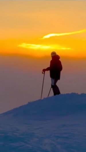 Martin Björk Instagram - En bättre söndagsmorgon⛷️
🎥 @hansolsson