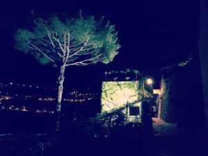 Martin Starr Instagram - ... oh, the late night walks in Italy