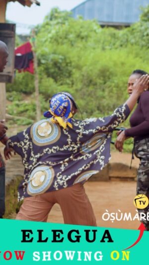Martini Animashaun Instagram - 😲 Protect what’s yours by every means necessary. That Hot Slap 👋 wey Dey reset brain 😂 @semilorepweety @i_am_ma_riam @profara01  ELEGUA now showing on YouTube via @osumaretv 

Produced by @i_am_ma_riam 

EXECUTIVE PRODUCER @officialmatini 

Starring 

Bimbo oshi @bimbooshin 
Bose AKINOLA @akinboss12 
Debbie shokoya @debbie_shokoya 
Martini ANIMASHAUN @officialmatini 
Niyi Johnson @adeniyijohnson 
Yinka Salau @yinkasalau_ 
Titilayo Ajayi @iamtitilolaajayi 
Okele @okele_2 
Tosin Olaniyan @olaniyan_tosin 
Kudi Alagbo @semilorepweety 
TONY @tonycairo011 
@official_laporsh001 
Topright @officialtopright 
Cynthia @nnkiru 
TOYIN Mercy @rayo__official 
@akinyemi_olayinka_toyoc 

PRODUCER : @irewamiri mariam
DIRECTOR : @ceo_slate1
ASST DIRECTOR @Mrlaneminder
D.OP : @tplus01
COORDINATOR: @therealibrosound
COORDINATOR 2: @brightnimy
ART DIRECTOR 1 : @Badmusnurudeenowolabi
ART DIRECTOR 2 
:@Absolutebukky
SOUND : @segmanny4525
MAKEUP @fadexbeauty_touch
SCRIPT SUPERVISOR ; @dotunolanite 
CONTINUITY :
@adeniranrhodabolu
GAFFER :
PRODUCTION MANAGER : @olakunmiraji
STILL PICTURES : @excelgramm
PRODUCTION ASSISTANT : @isholacash01