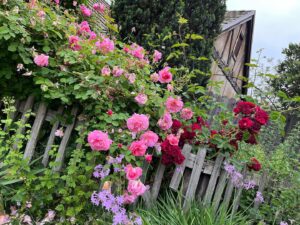 Mary Chieffo Instagram - friends & flowers & forests, oh my 

🌿🌸🪻🌱🌼🌹🍃🌺🌷