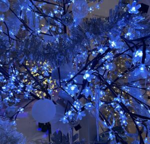Mary Murphy Instagram - Thank you all who attended my Christmas  Winter wonderland  last night  we had a ball !  What a way to end the year with  a great celebration of dance  and song . More pictures to follow !! Happy Holidays to everyone !! Love Mary  #dancesport #sandiego #ballroom #datenight