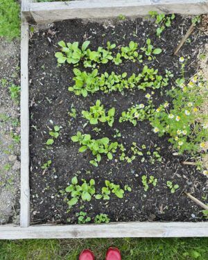 Mary Stuart Masterson Instagram - Bees, (chamomile) teas, seeds … and peace #permaculture #loveyourmother🌎 #oneworld #peace