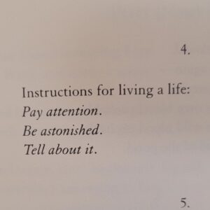 Mary Stuart Masterson Instagram - From Mary Oliver's collection Red Bird "Sometimes" stanza 4.
Instructions for living a life:
Pay attention.
Be astonished.
Tell about it.