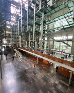 Masafumi Gotoh Instagram - ヴァスコンセロス図書館
Biblioteca Vasconcelos

素晴らしい図書館。