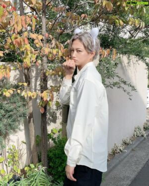 Masahiro Inoue Instagram - 日本も涼しくなってきたね
(ハロウィングッズの撮影でした🐈)