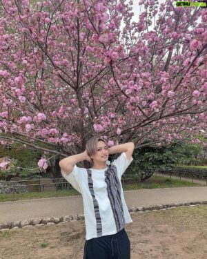 Masahiro Inoue Instagram - 最近暖かくなって気持ちがいいね！
これ桜かな？まだ咲いてたよ🌸